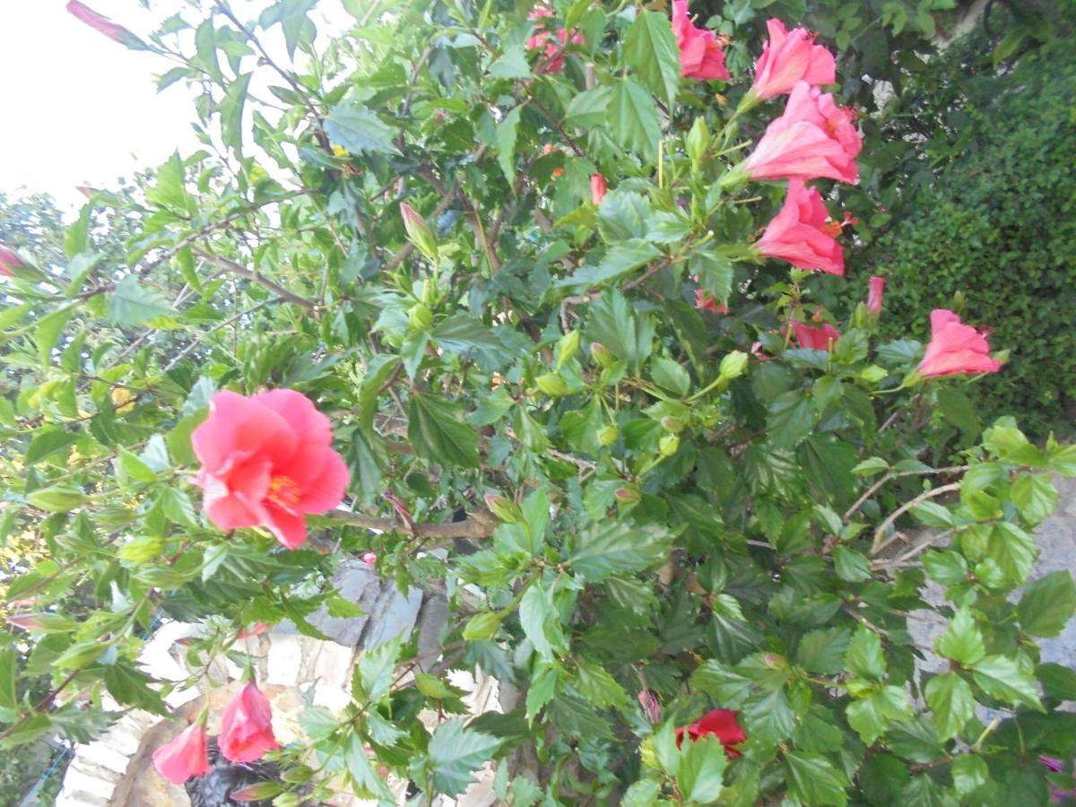 Vila Ori Ksamil Luaran gambar