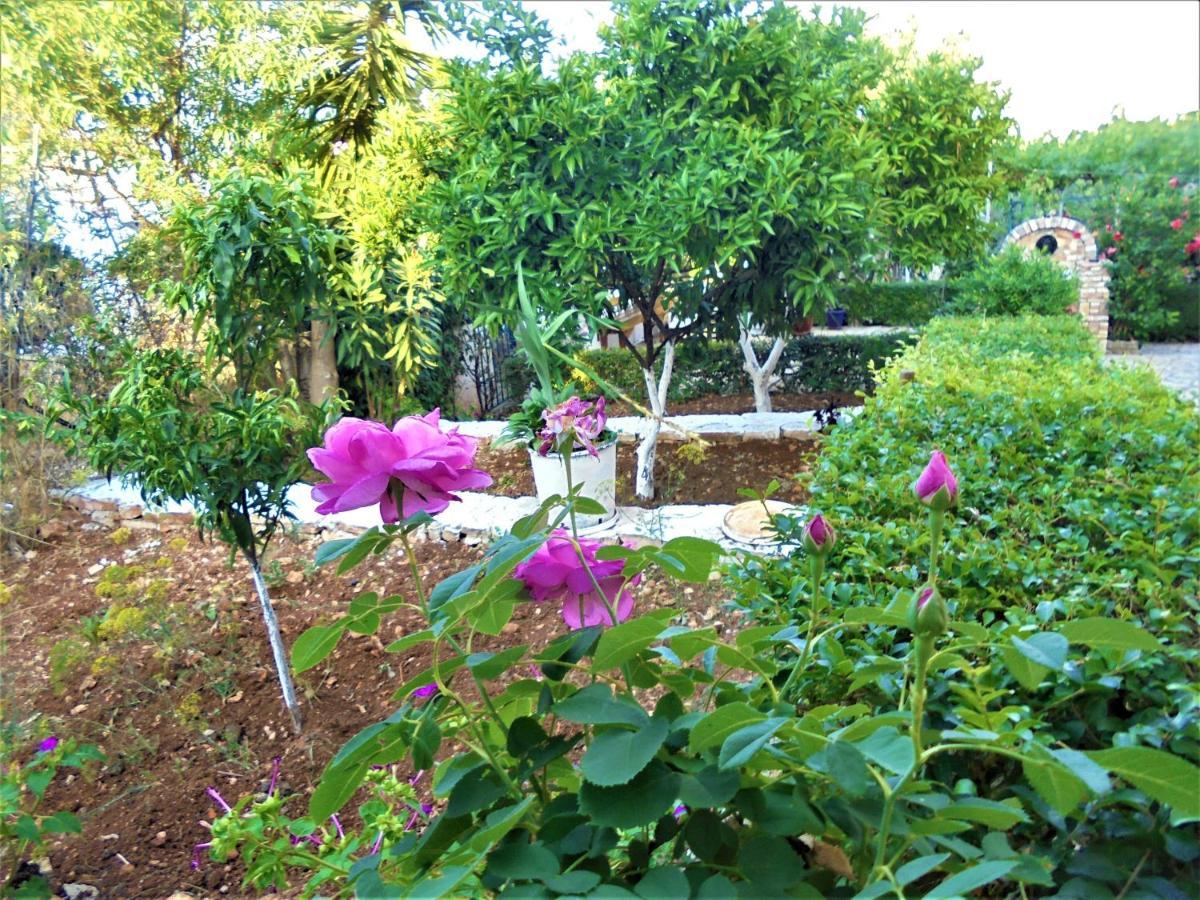 Vila Ori Ksamil Luaran gambar